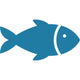 Fish Movement